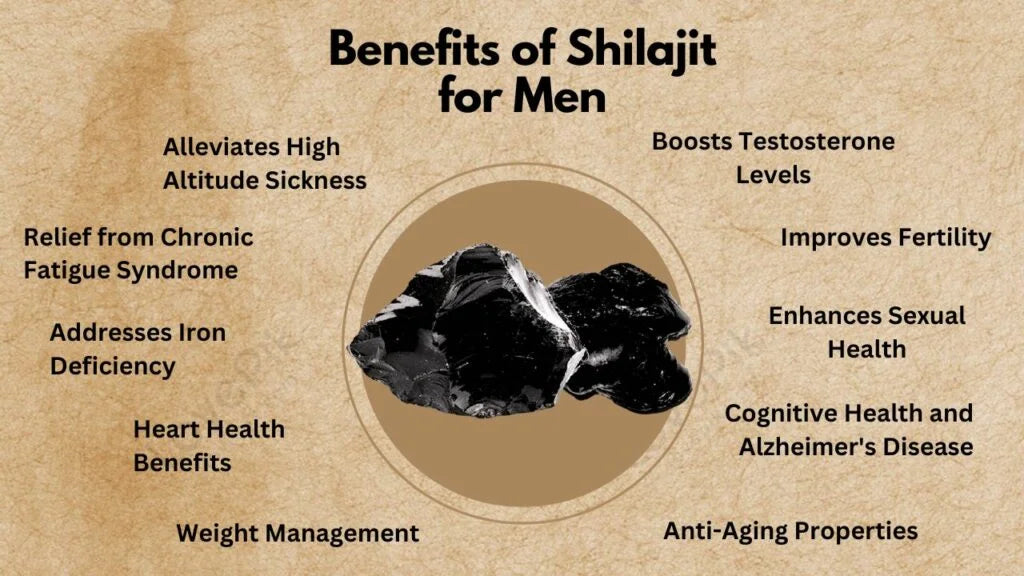 Shilajit Resin